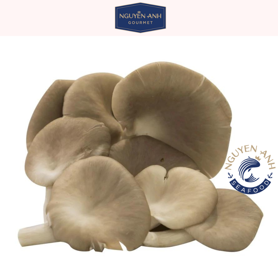 Nấm bào ngư xám tươi 200g nông trại Nấm Xanh