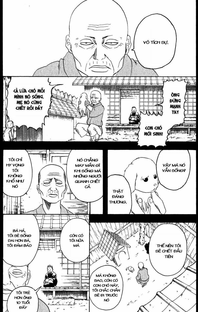 gintama - linh hồn bạc chapter 209 15