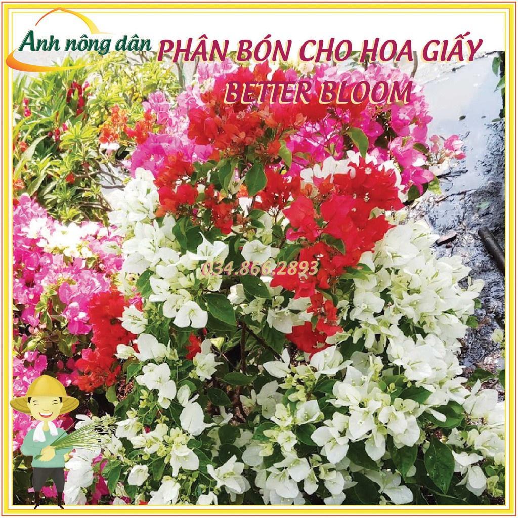 Phân bón siêu ra hoa better Bloom NPK - Phân bón chuyên dùng cho hoa giấy