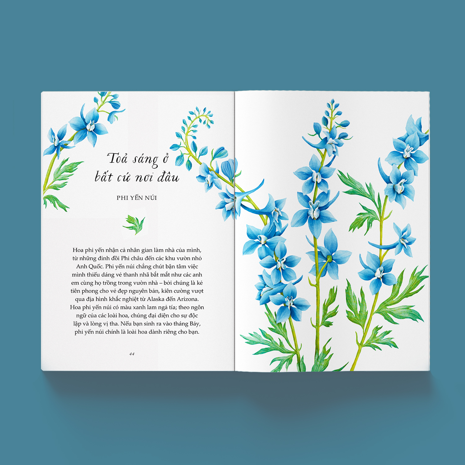 Sách Vươn Mình Như Những Đoá Hoa - Những Bài Học Nhỏ Để Có Nguồn Vui Và An Lành Bất Tận