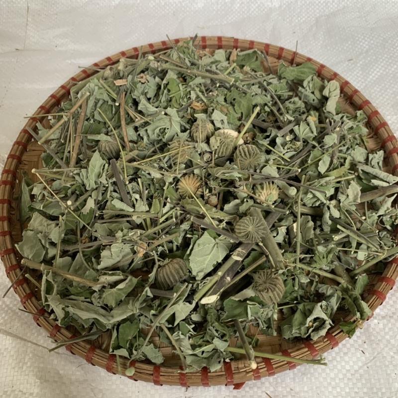 Cây Cối Xay khô sạch băm loại 1kg Cty thảo dược số 1