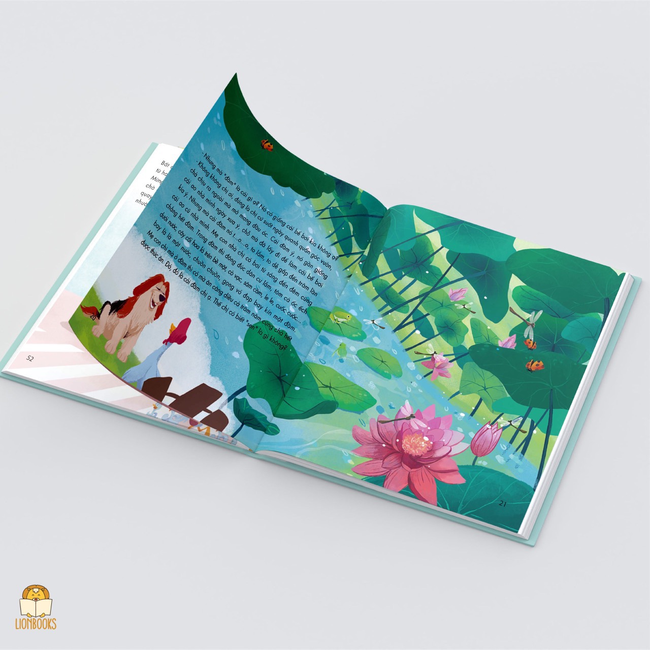 Cuộc phiêu lưu đầu tiên của bầy vịt