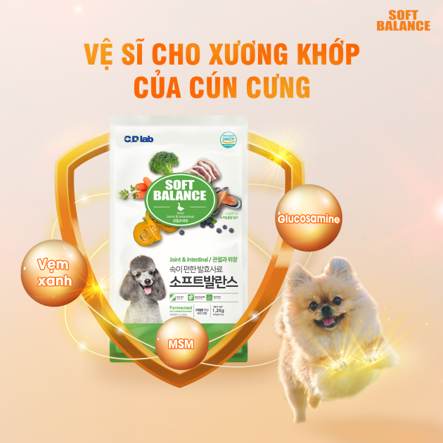 [ 100g ] - Thức ăn hạt mềm cho chó mọi lứa tuổi vị vịt SOFT BALANCE