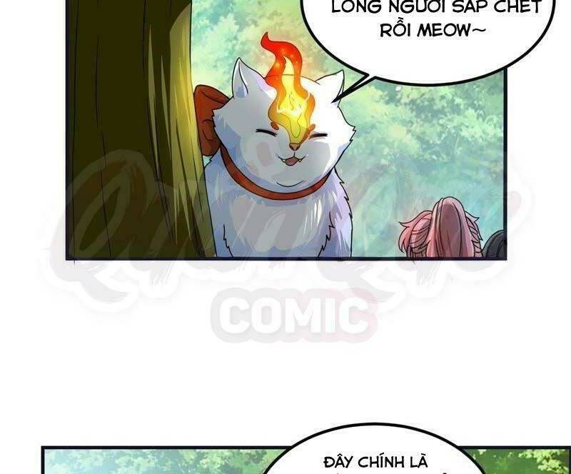 tối cường quang hoàn hệ thống chapter 51 20