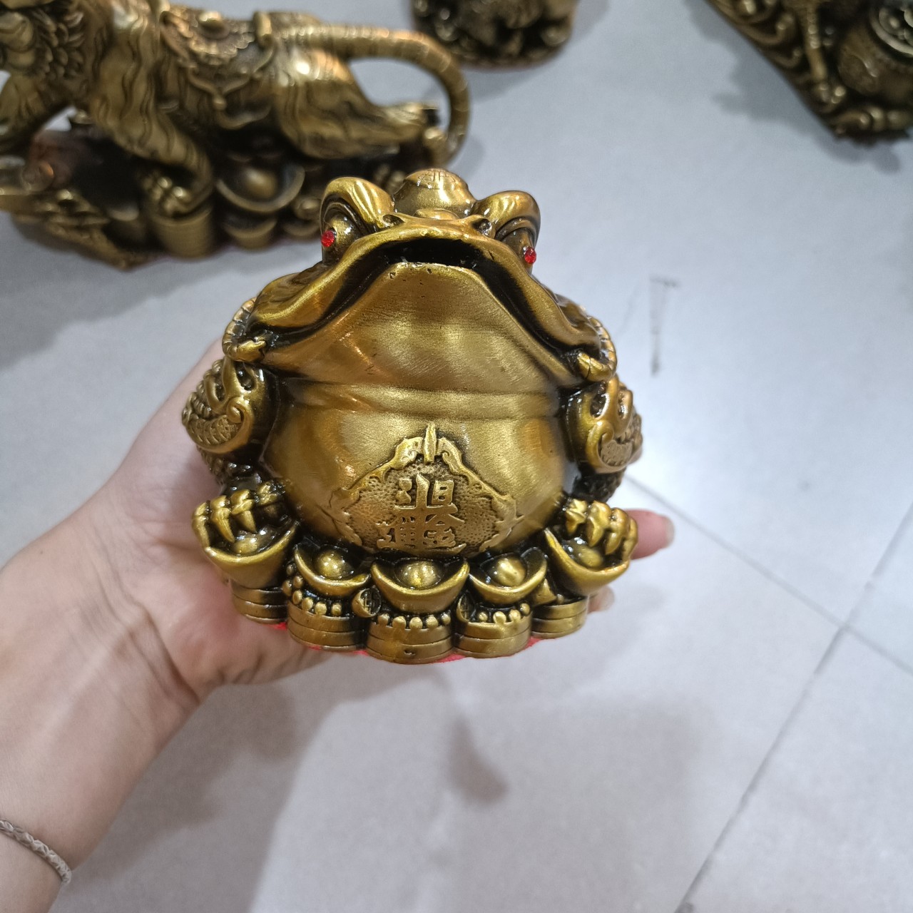 Cóc thiềm thừ, cóc đồng vàng, cóc cỡ nhỏ, cóc phong thủy