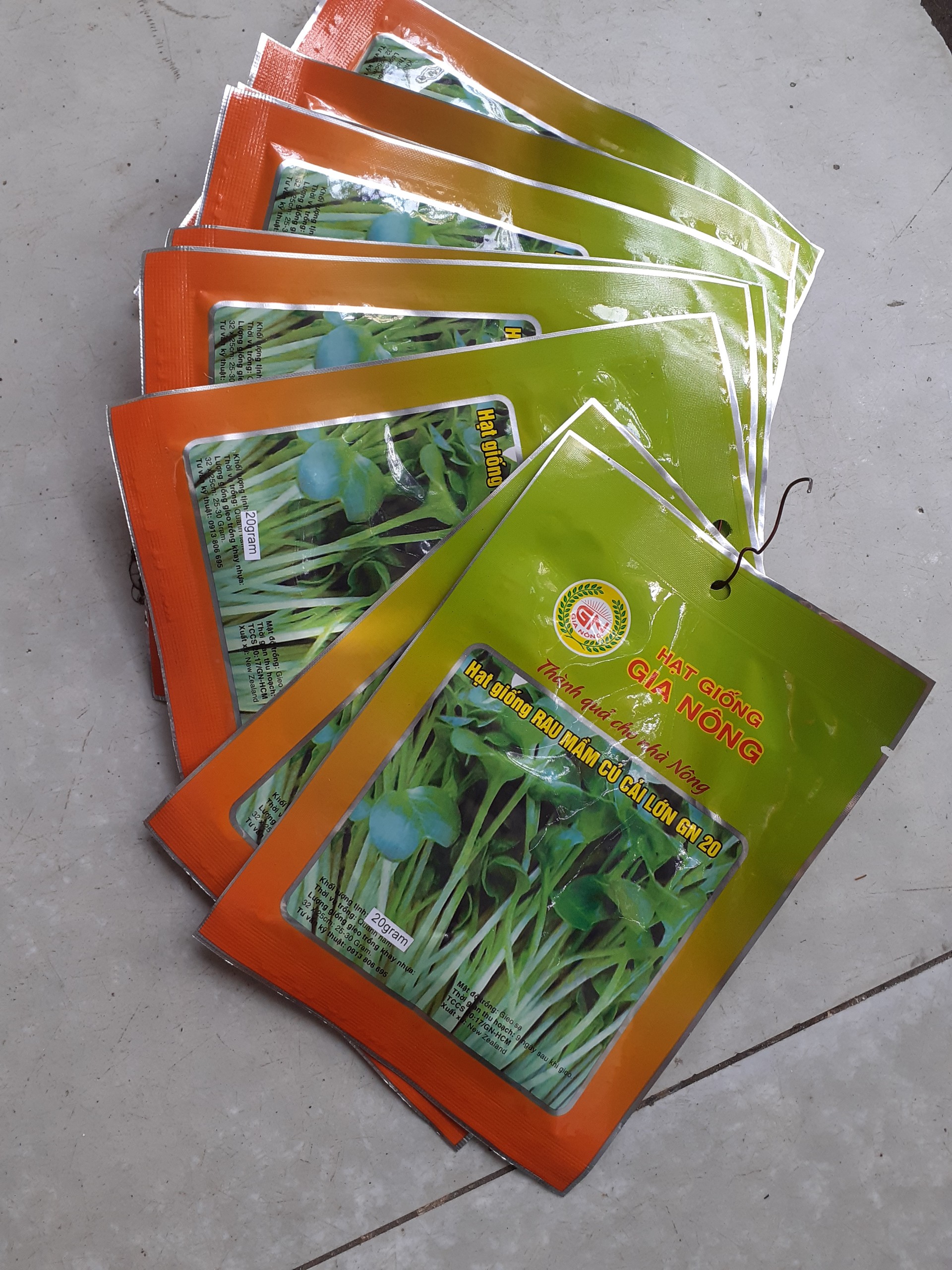 Combo 10 gói hạt giống RAU MẦM CỦ CẢI LỚN
