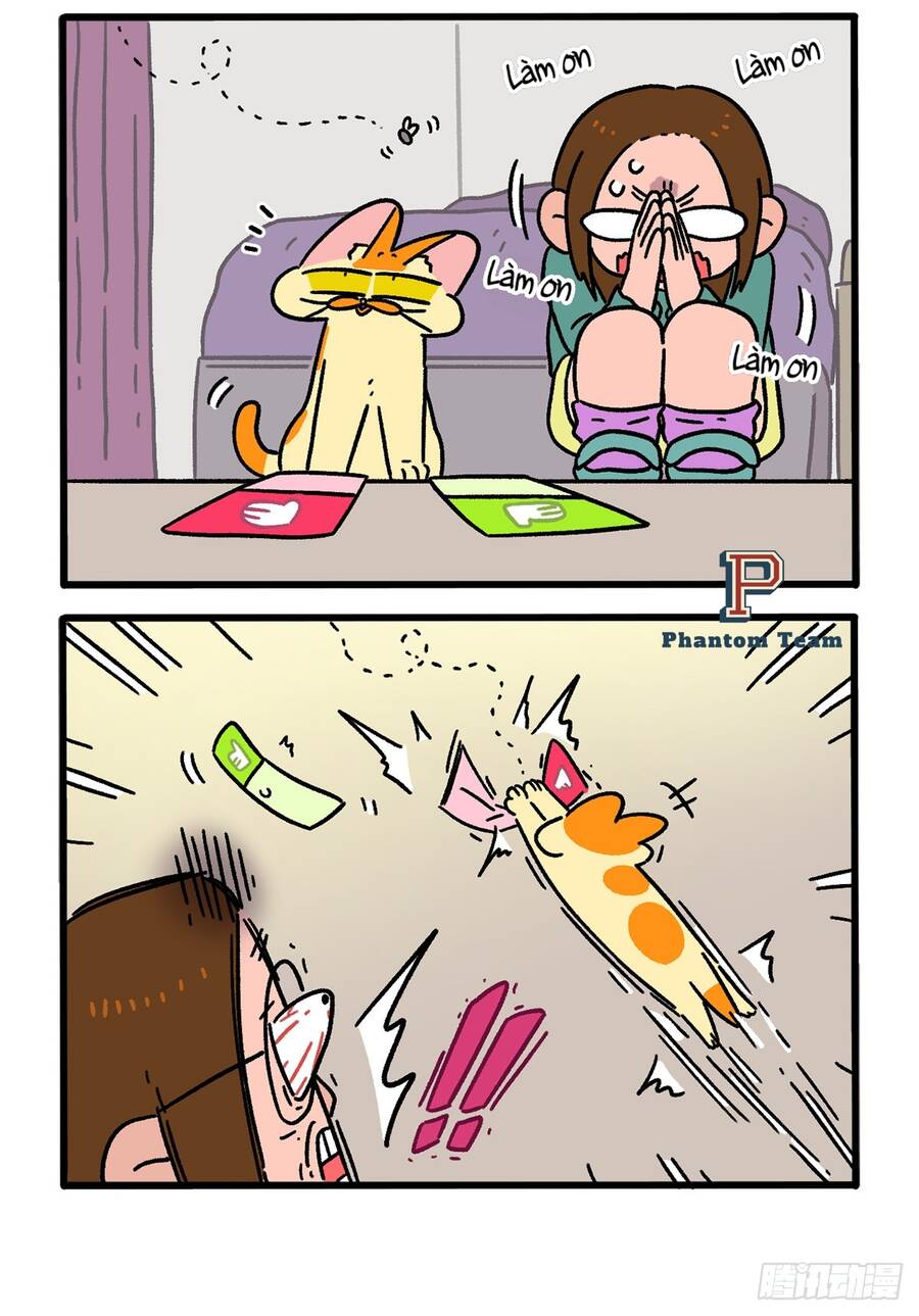 a mãn và mạch trà chapter 147 2