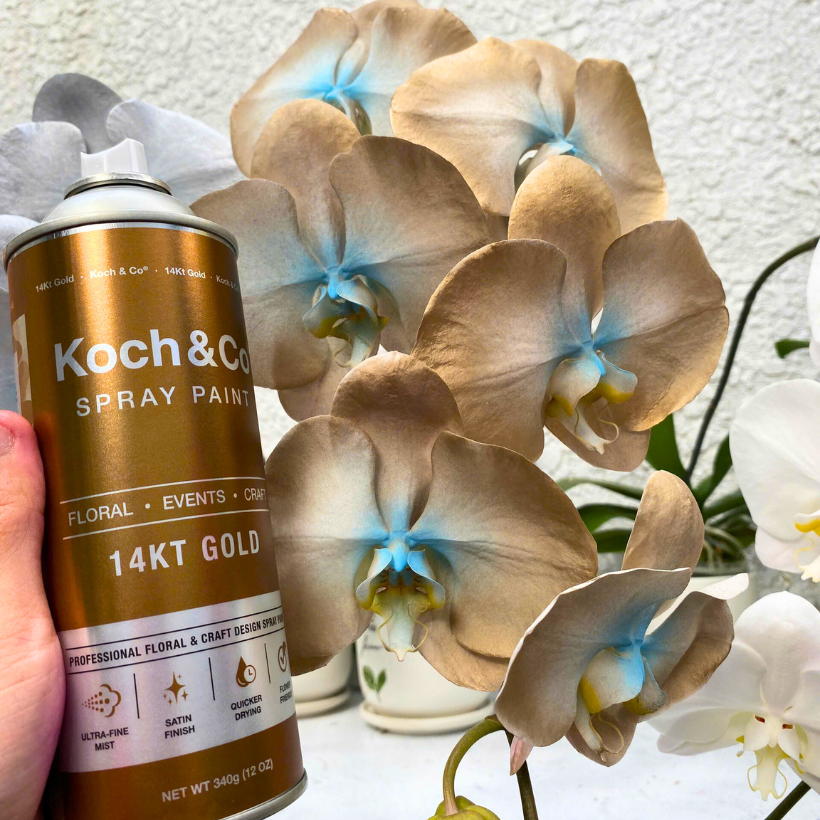 Sơn Xịt Hoa Tươi Màu Vàng 14KT Gold Cao Cấp (Vàng 9999) Nhập Khẩu Úc - Ánh Vàng sang trọng, đẳng cấp - vòi phun siêu mịn, khô nhanh, mùi thơm dịu nhẹ