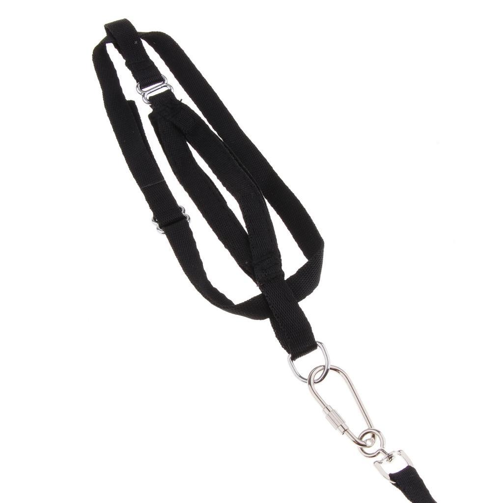 Outdoor Parrot Leash Adjustable Bird Harness For Small to Large Birds Black