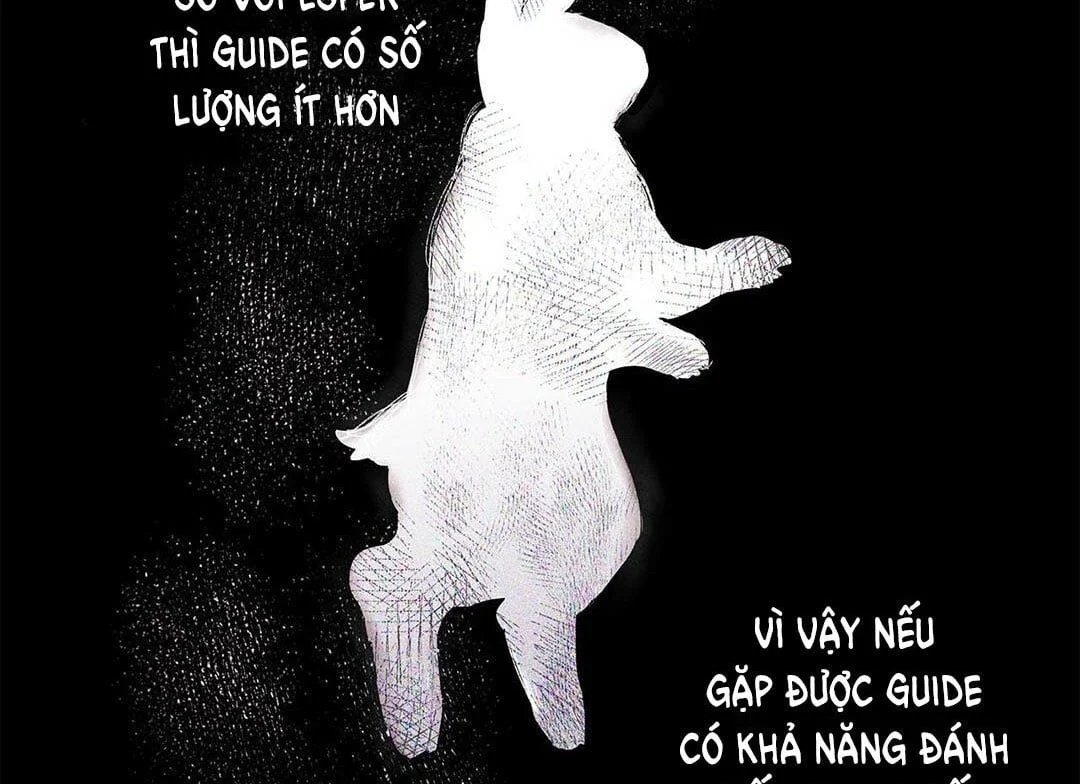 guide cấp b chapter 13 82