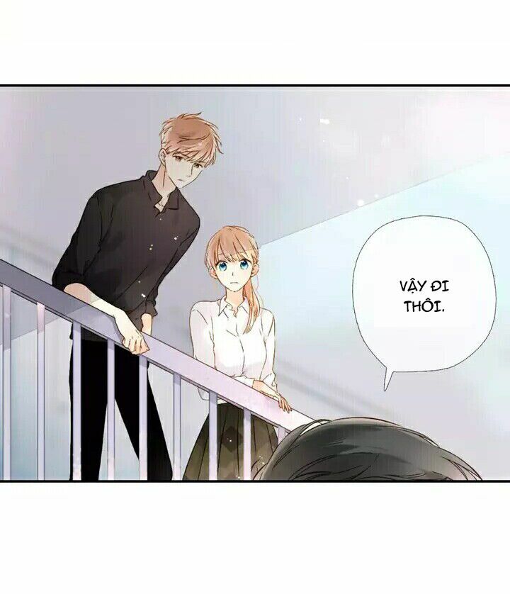 Tình yêu là màu hoa anh thảo chapter 24.2 5