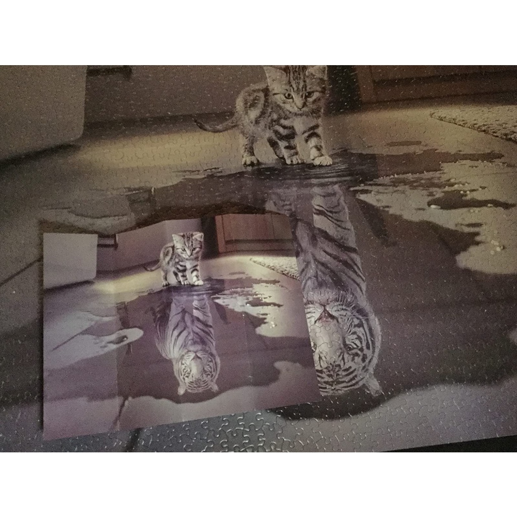 Tranh Ghép Hình 1000 Mảnh Người Lớn và Trẻ Em Không Gợi Ý, Jigsaw Puzzle Randomcut 1000 Pcs  CC02