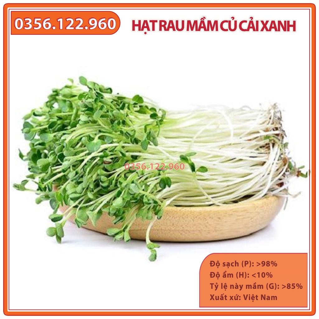 Hạt rau mầm củ cải Xanh - hạt trắc mẩy, nảy mầm đồng đều