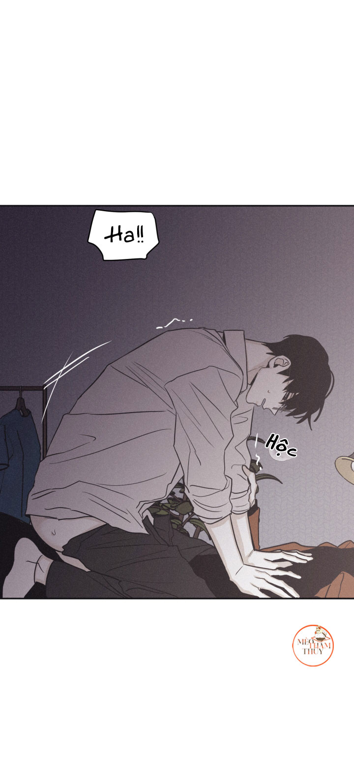 chiếu tướng chapter 77 28