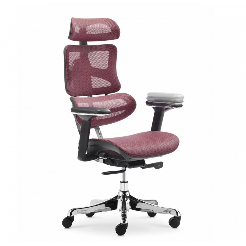 Ghế Làm Việc Công Thái Học - Ergonomics Ngả Lưng Thư Giãn AMA-CM-B137A