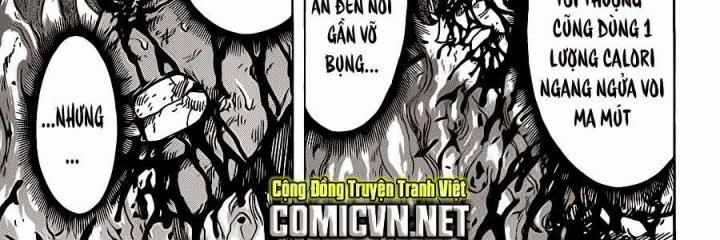 thánh tỏi sành ăn chapter 238 21