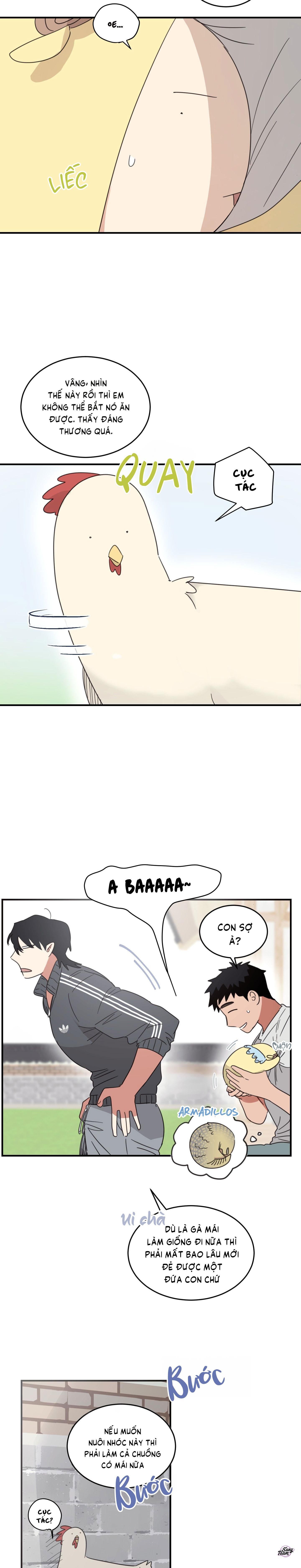 căn nhà mặt trời mọc chapter 19 3