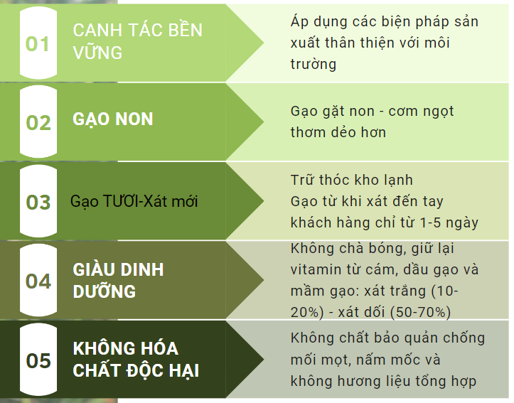 Gạo An Nông ST25 Xát Trắng 700g