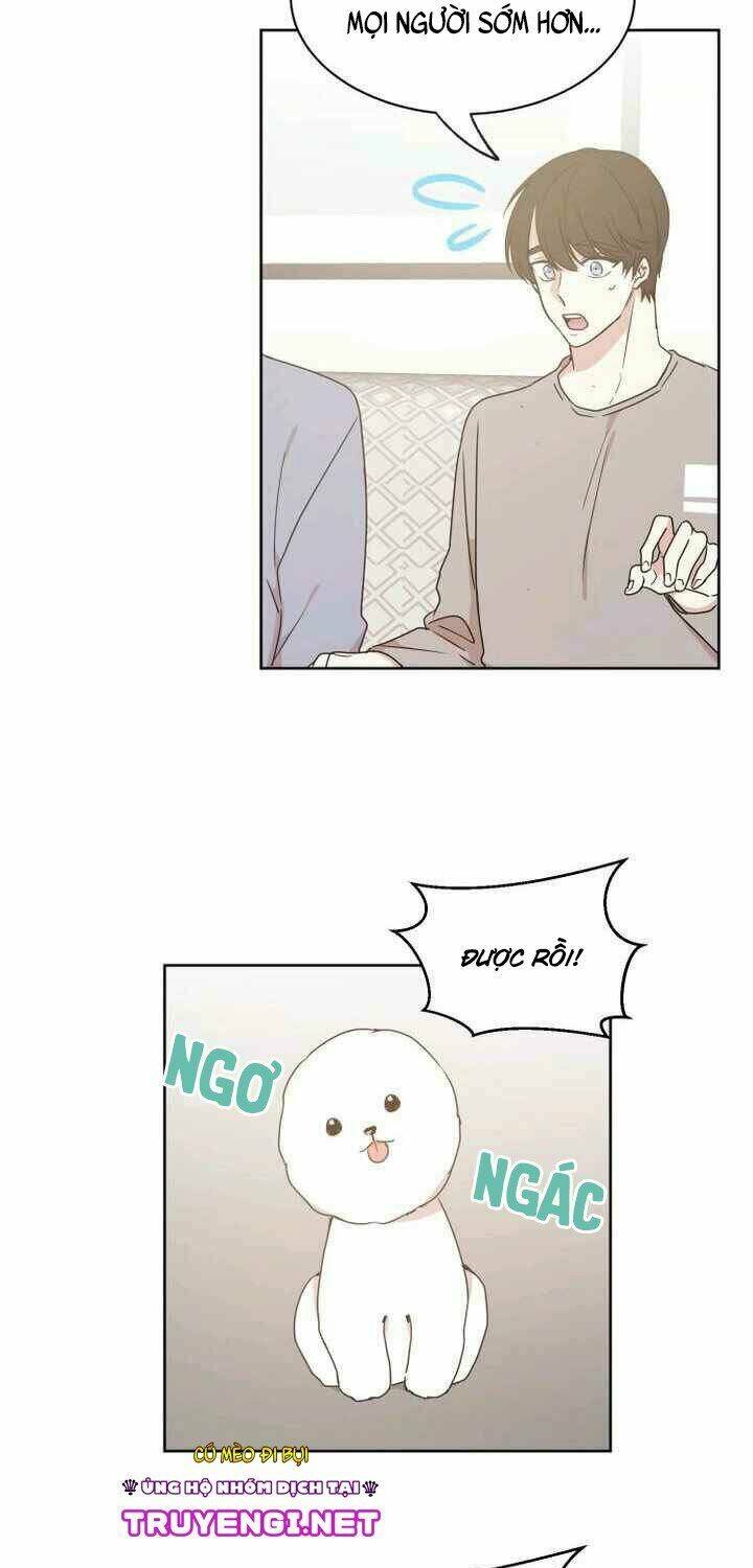 idol sống trong nhà tôi ! chapter 16 22