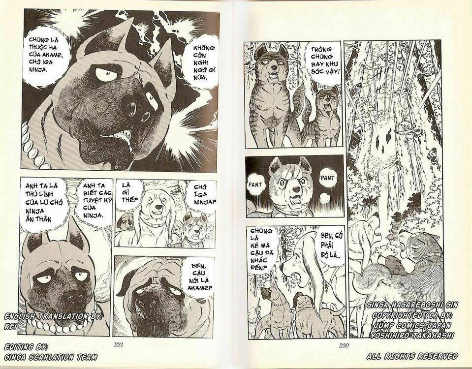 chú chó có nghĩa - ginga nagareboshi gin chapter 17 17