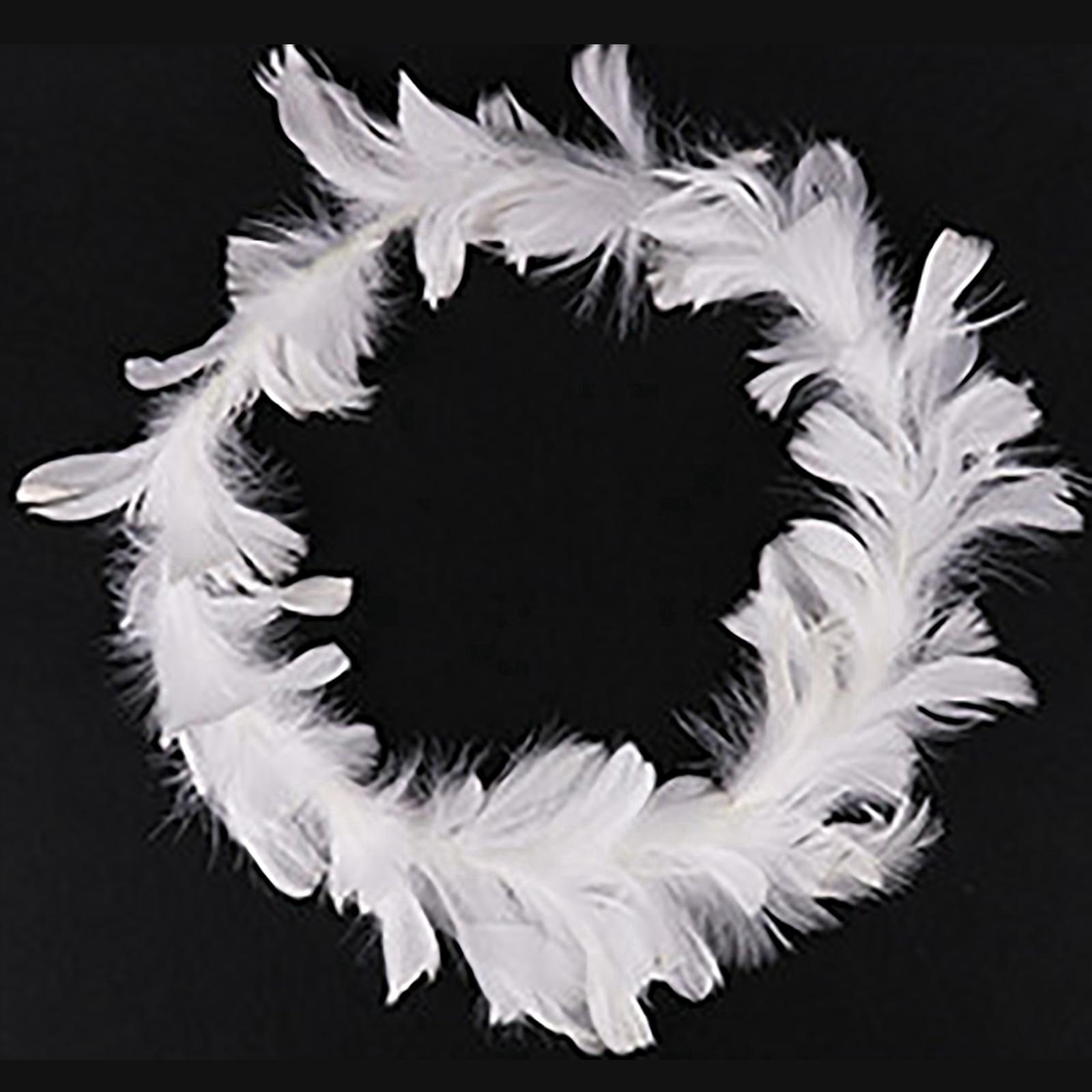 2PCS Feather Cake Toppers Cupcake Toppers Cake Decoration for Party Birthday Christmas New Year