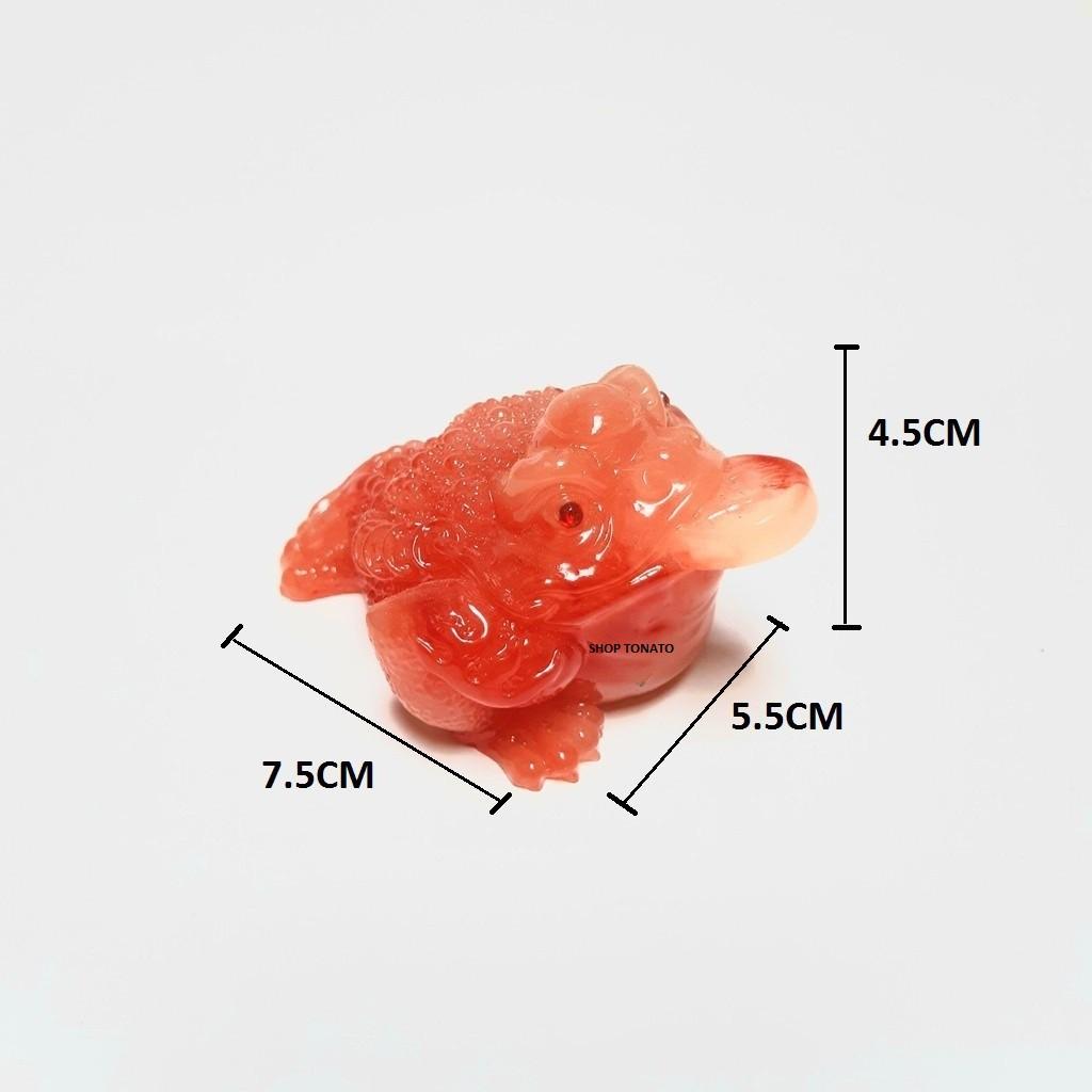 CÓC THIỀM THỪ NHÍ 4 MÀU CAO 4.5CM