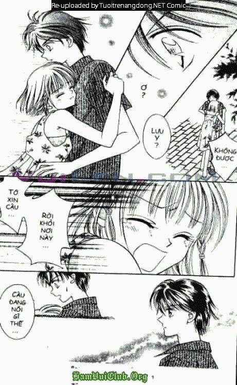 cánh thiên nga chapter 19 81