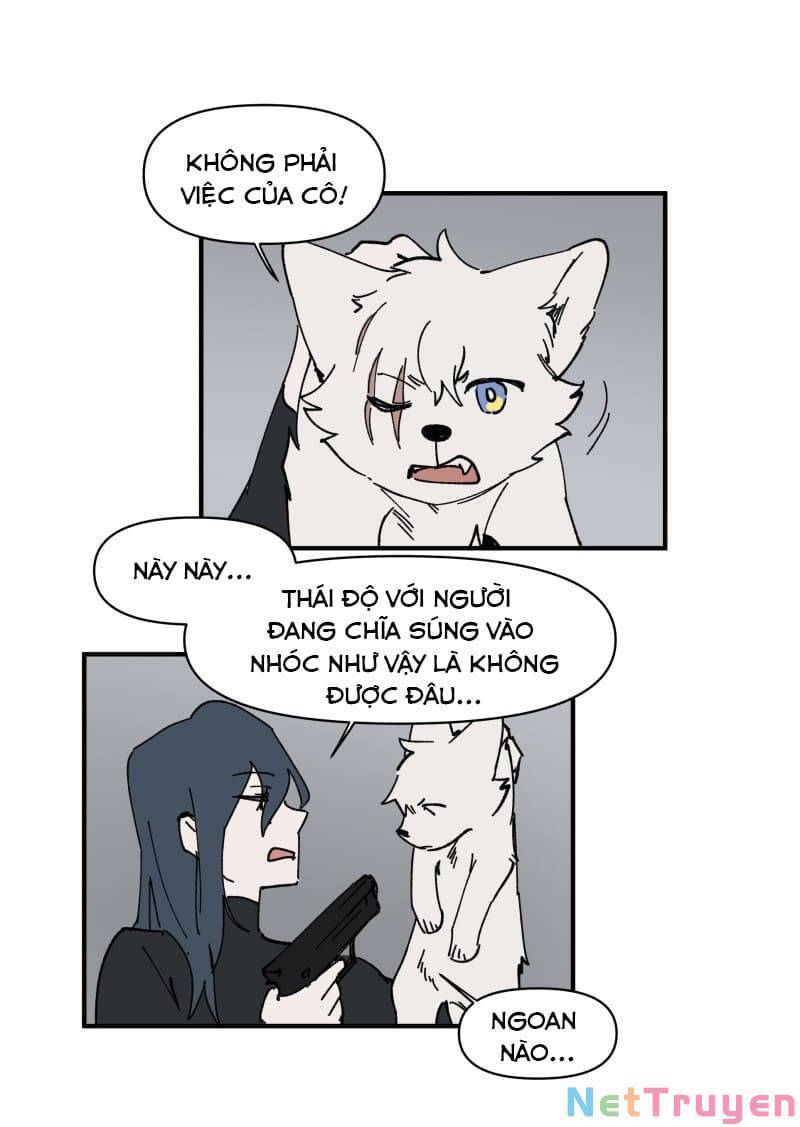 lumine - cội nguồn ánh sáng chapter 157 11