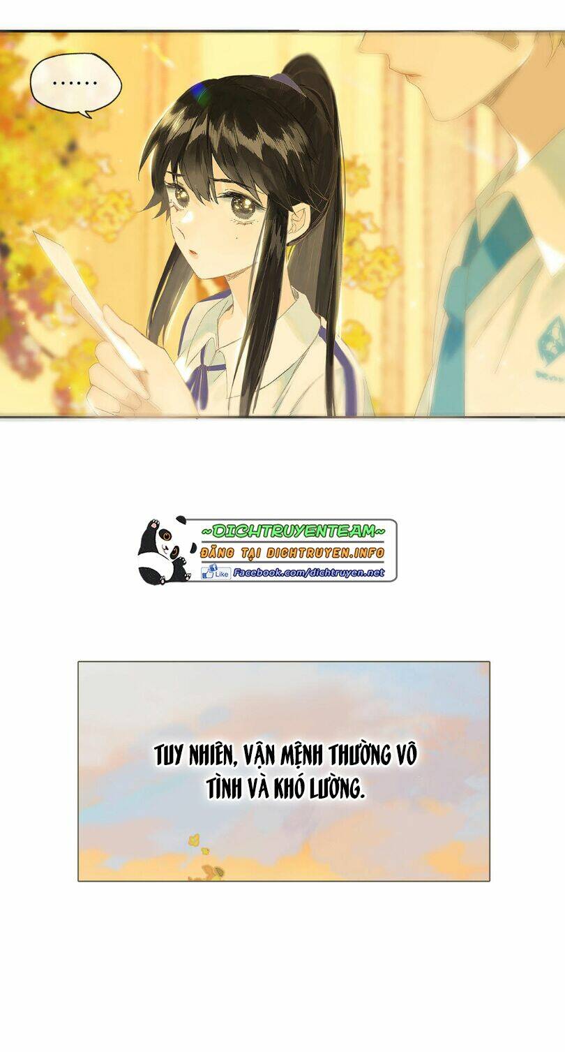 lưu hoa bất cập xuân chapter 47.5 13