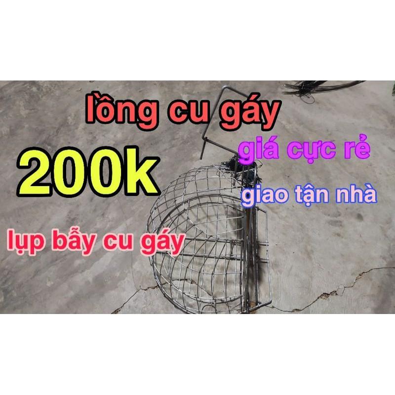 Lụp bẫy cu gáy giá rẻ