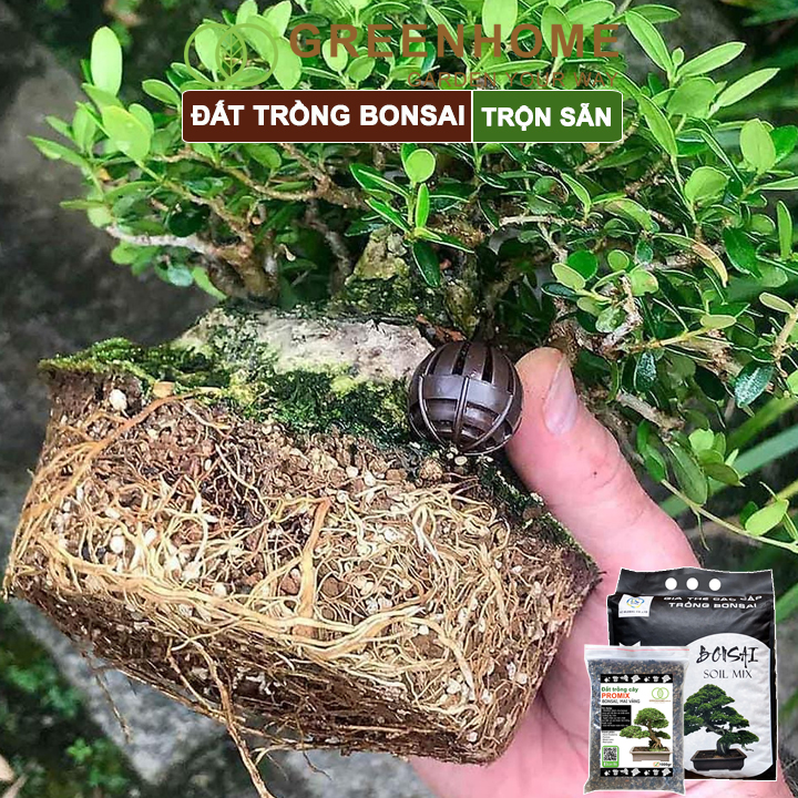 Đất trồng cây bonsai, mai vàng trộn sẵn, giữ ẩm tốt, thoáng khí, nhiều dinh dưỡng| Greenhome