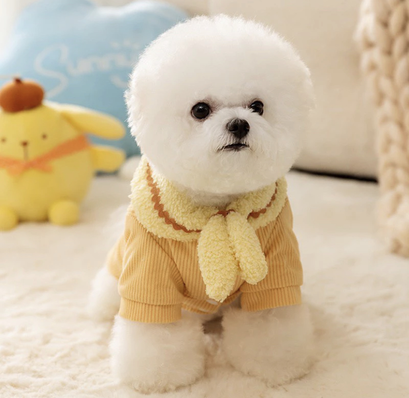 Áo nhung pompompuri cho thú cưng