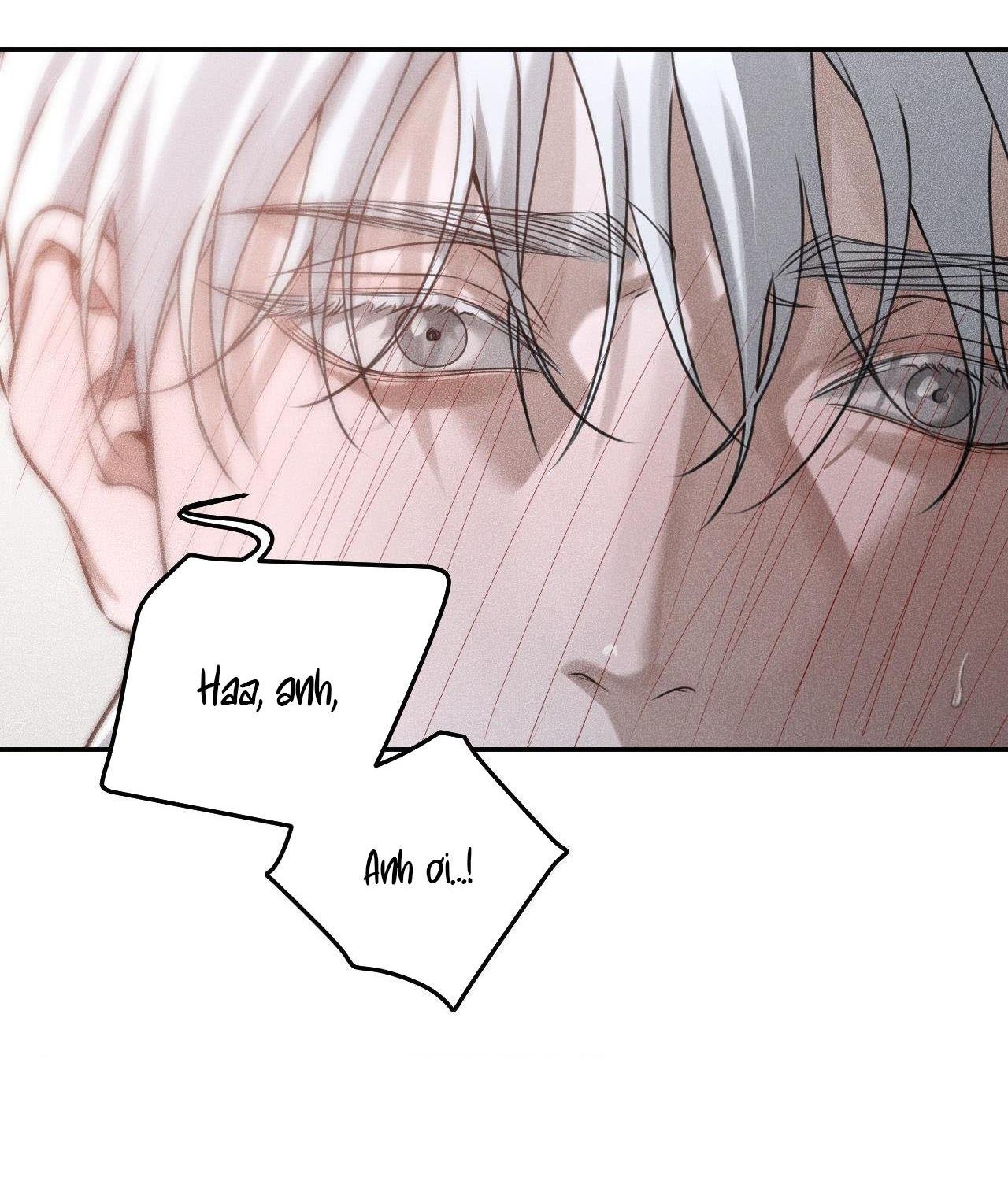 gấu teddy thân yêu chapter 29 46