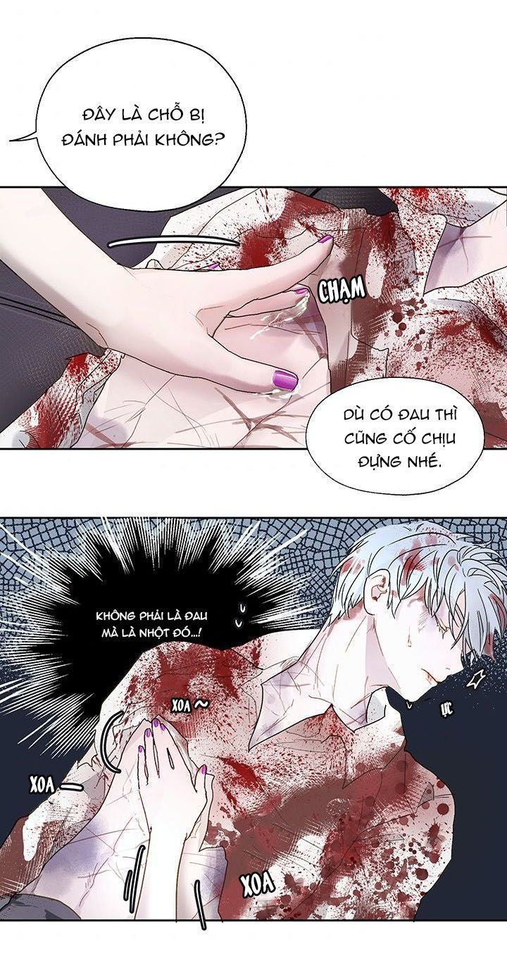 cách để cứu rỗi anh trai của nữ chính chapter 6 42