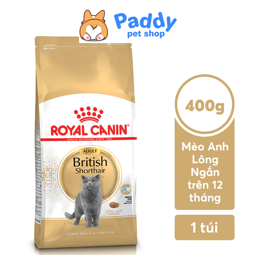 Hạt Royal Canin British Shorthair Adult Cho Mèo Lớn Anh Lông Ngắn Trưởng Thành - 400g