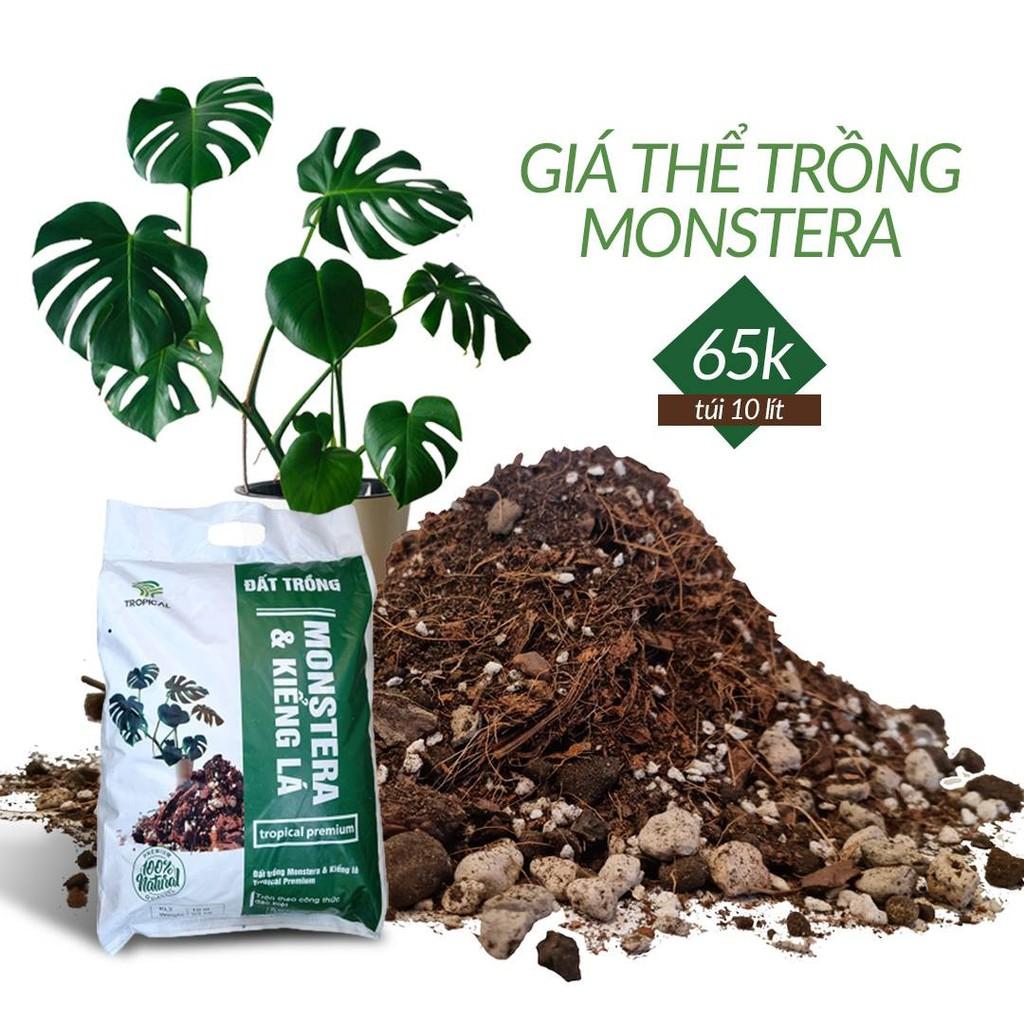 Đất trồng - giá thể trồng Monstera và kiểng lá Tropical Premium - túi 3kg