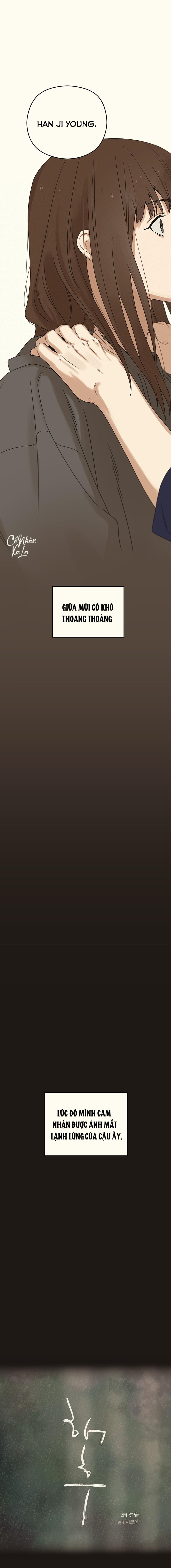 trùng phùng chapter 27 3