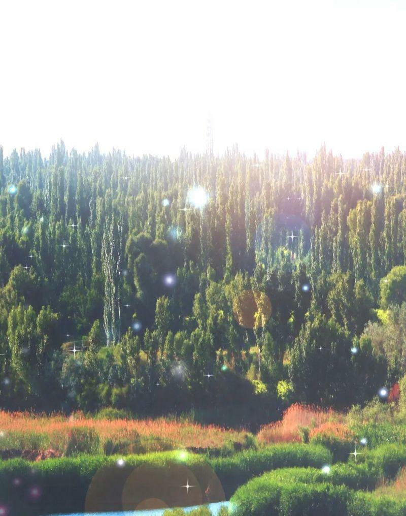 vòng bạn bè mạnh nhất của tiên giới chapter 102 43