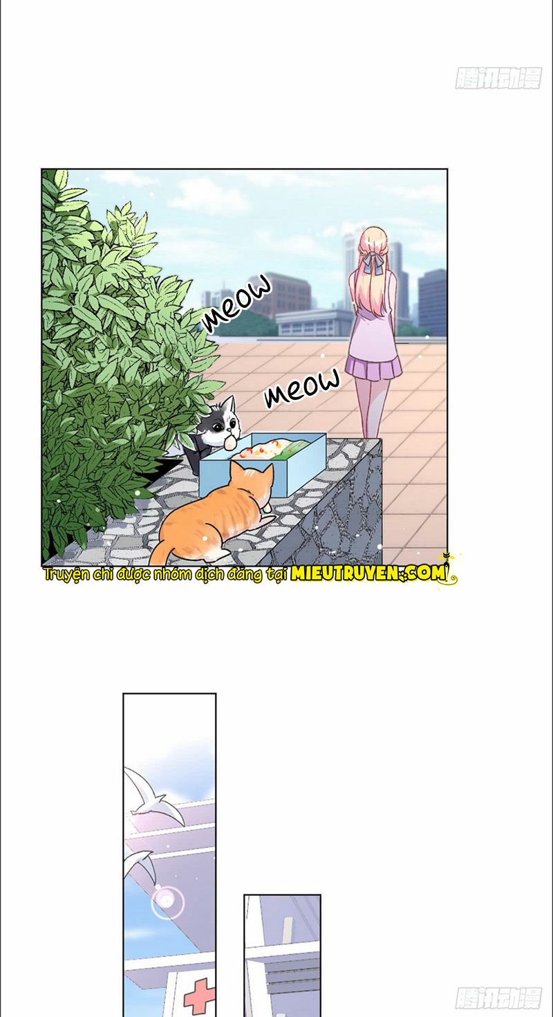 baba đẹp trai trên trời rơi xuống chapter 53 15