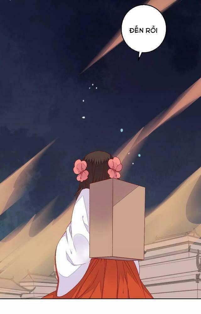 đốt đào hoa chapter 68 13