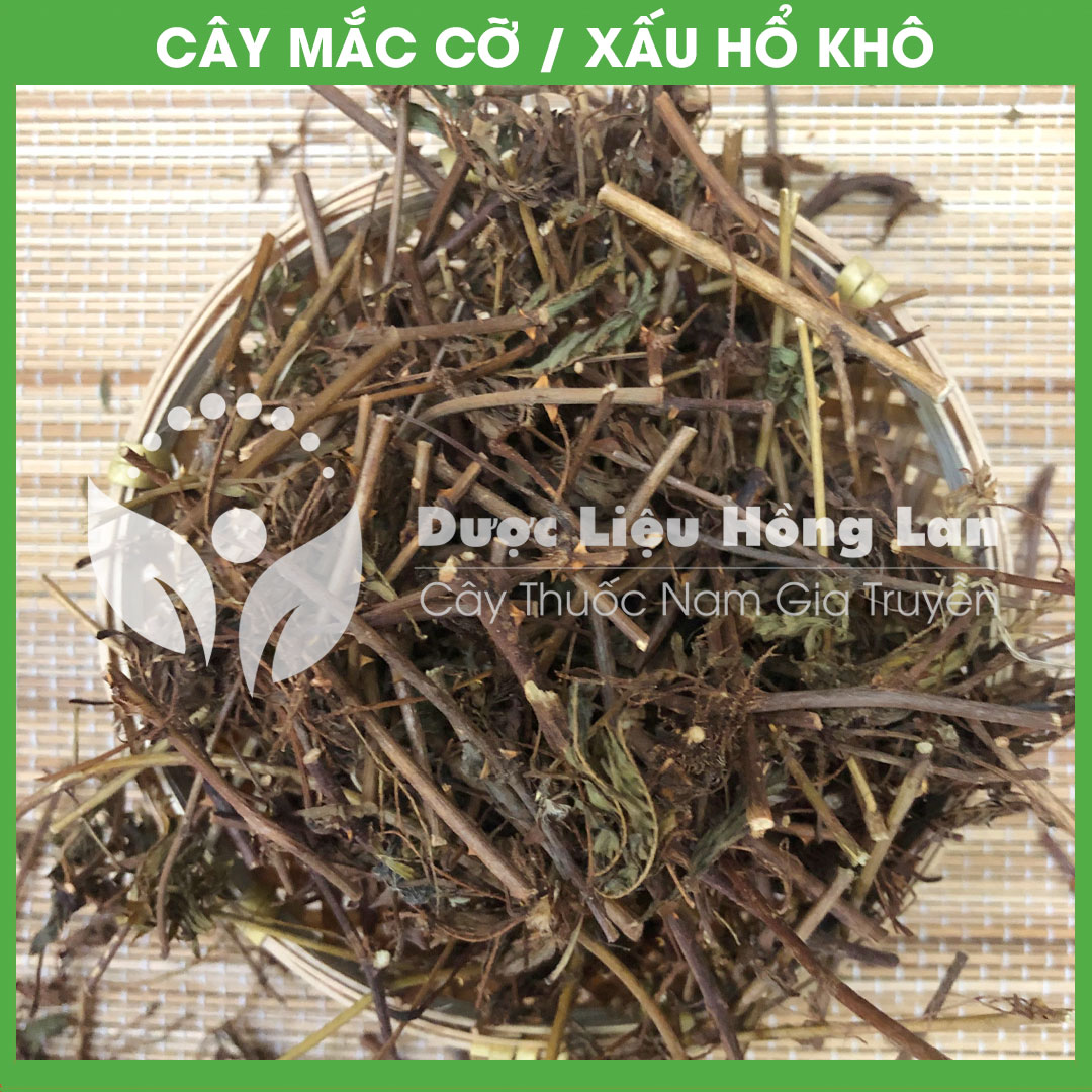 Cây Mắc Cỡ (Xấu Hổ) khô 1kg