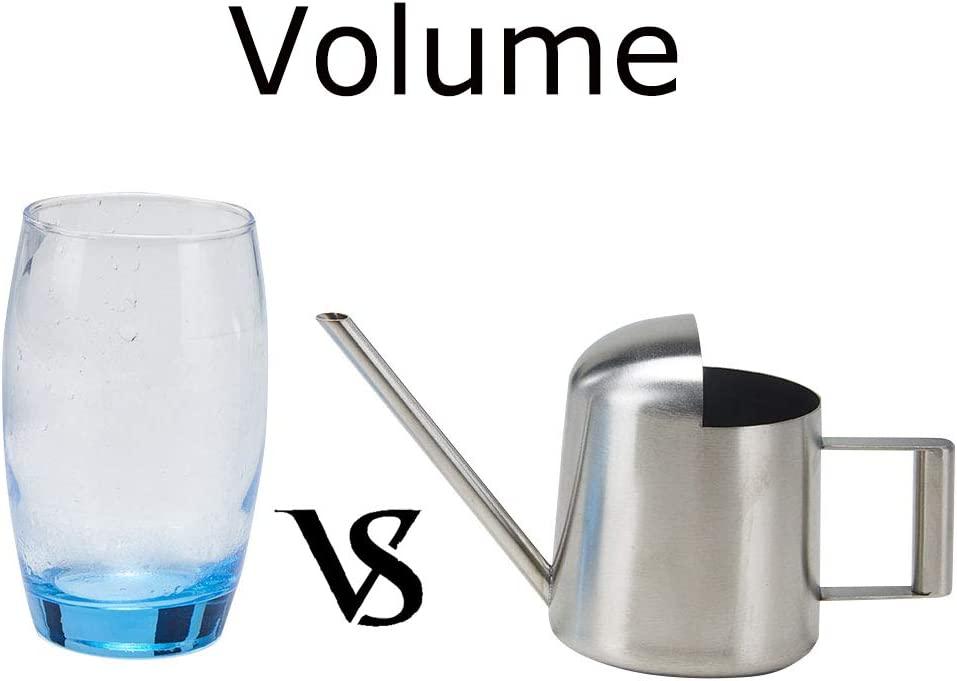 Độ dày tưới nước trong thép không gỉ chải 11oz/300ml lọ tưới mini cho hoa bonsai cây trong vườn sân nhà hiên