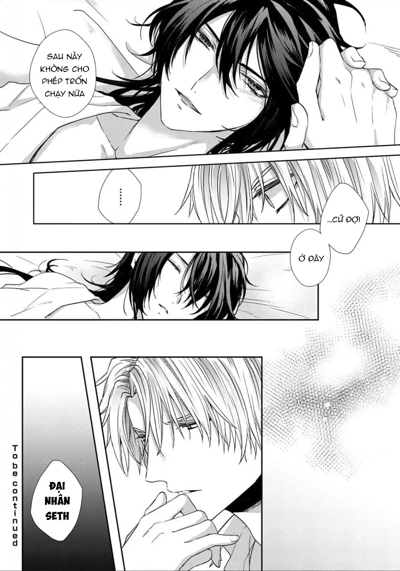 bướm trên sa mạc khao khát bị bắt chapter 4 31