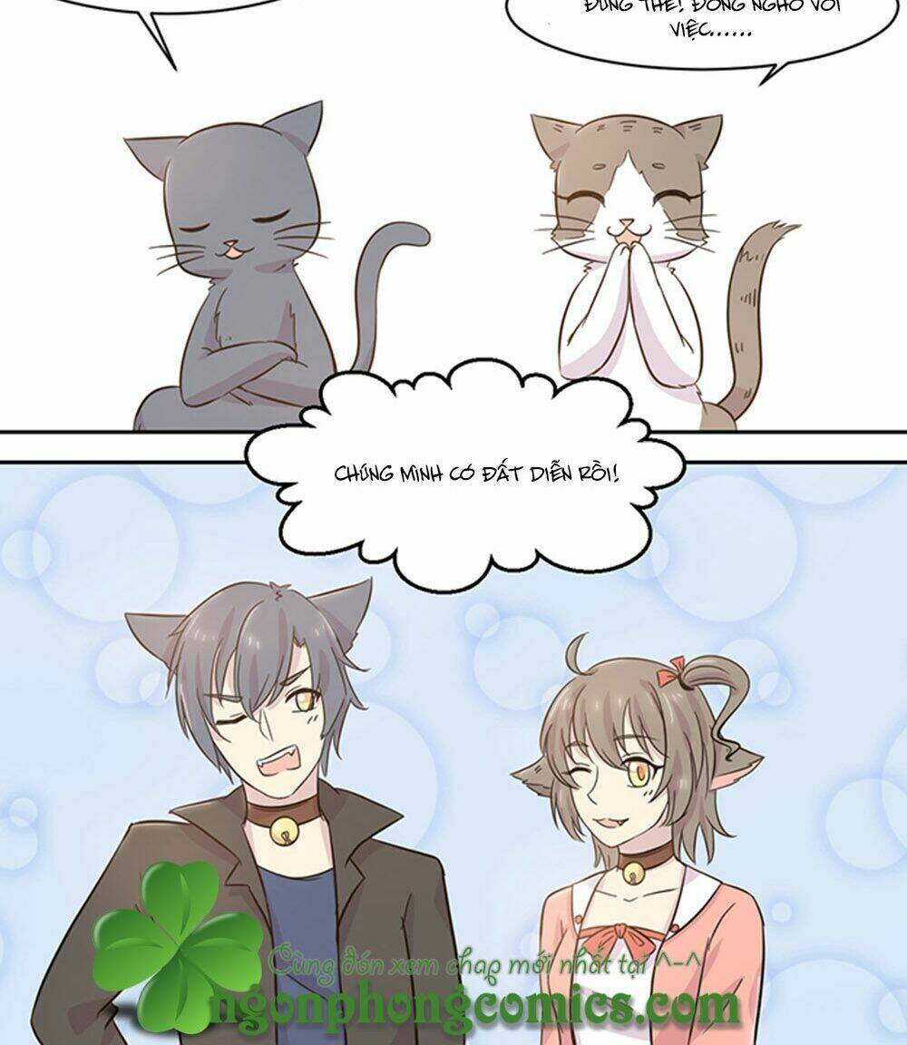 hai chú mèo totem chapter 19 20