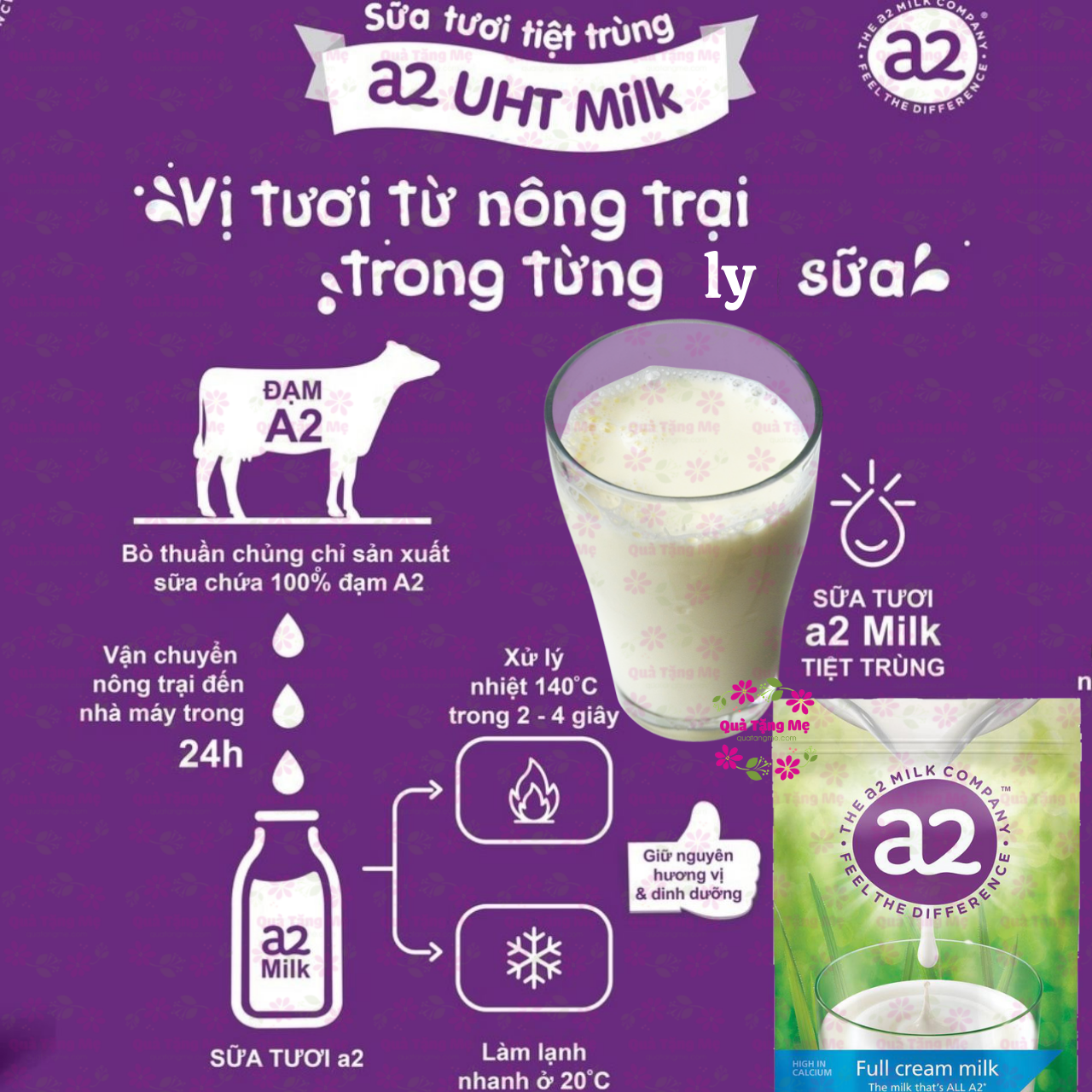 Sữa tăng chiều cao A2 nguyên kem full cream high in calcium phát triển xương, răng trẻ, chống loãng xương người lớn, tăng sức khỏe-QuaTangMe Extaste