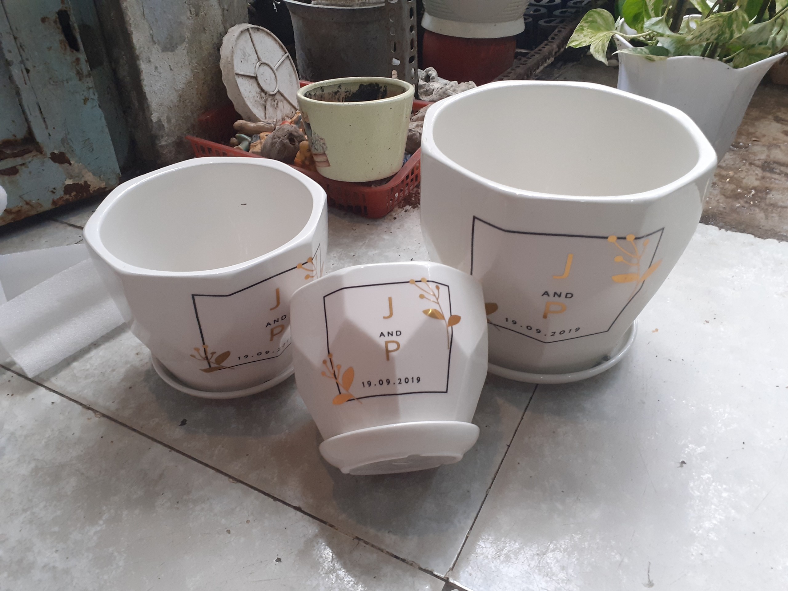 BỘ 3 Chậu kèm dĩa BÁT GIÁC J&P . 1 CHẬU SIZE TRUNG .