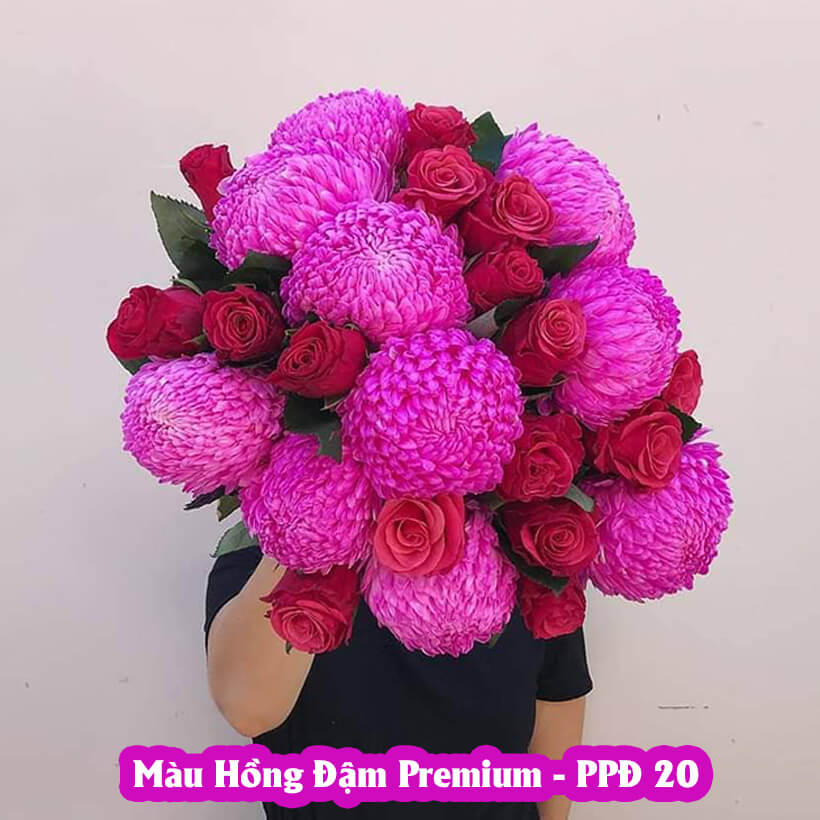 Gói Bột Nhuộm Hoa tươi Premium Color (7g pha 1L nước  màu hoa) nhuộm Hơn 250 Cành Hoa Nhanh Chóng và Hiệu Quả, An Toàn Cho Người Sử Dụng Tại Nhà