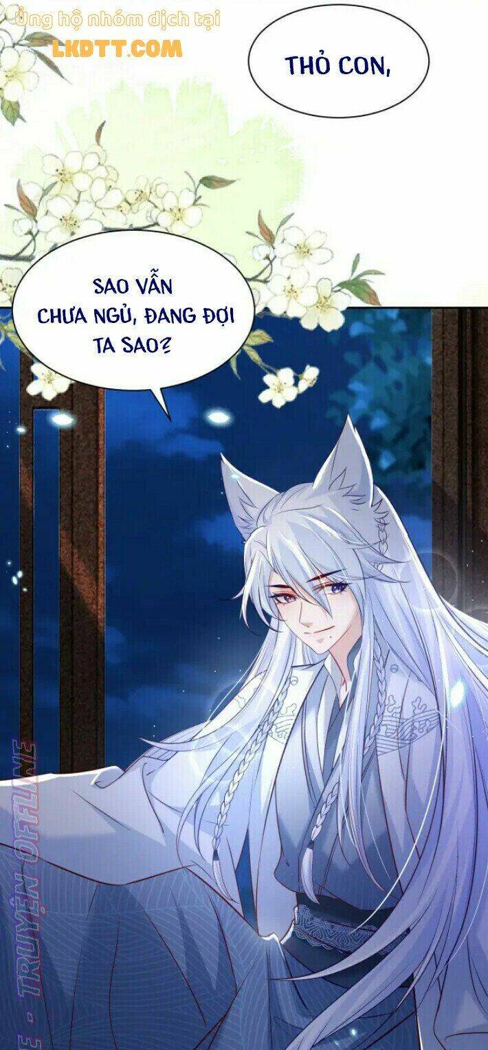 hắc hóa nam chính trực tuyến nuôi thỏ chapter 37 39