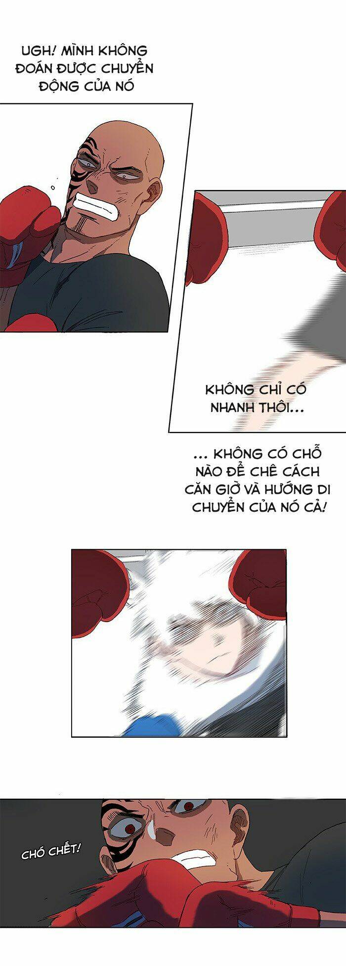 võ sĩ - the boxer chapter 1 49