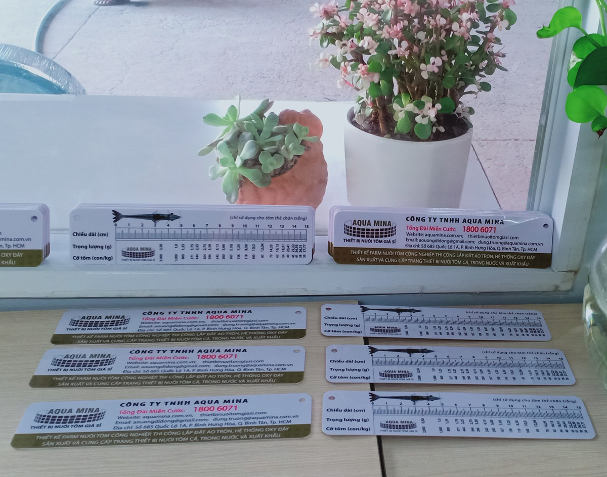 2 Cây thước đo tôm thẻ bằng nhựa